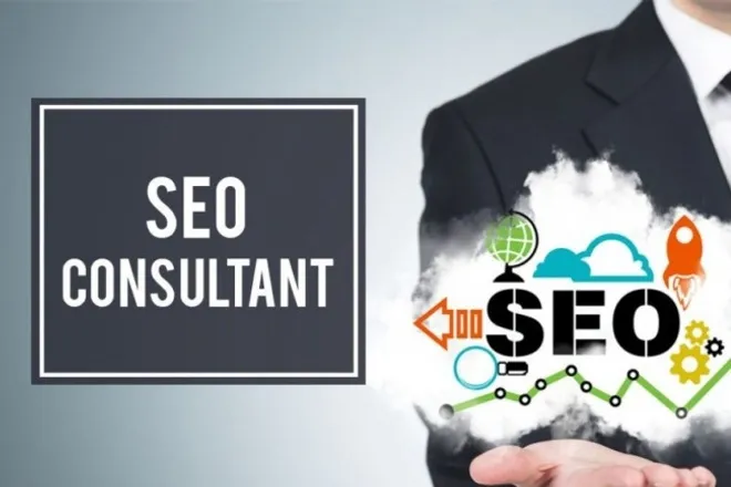 Organic SEO Consultant